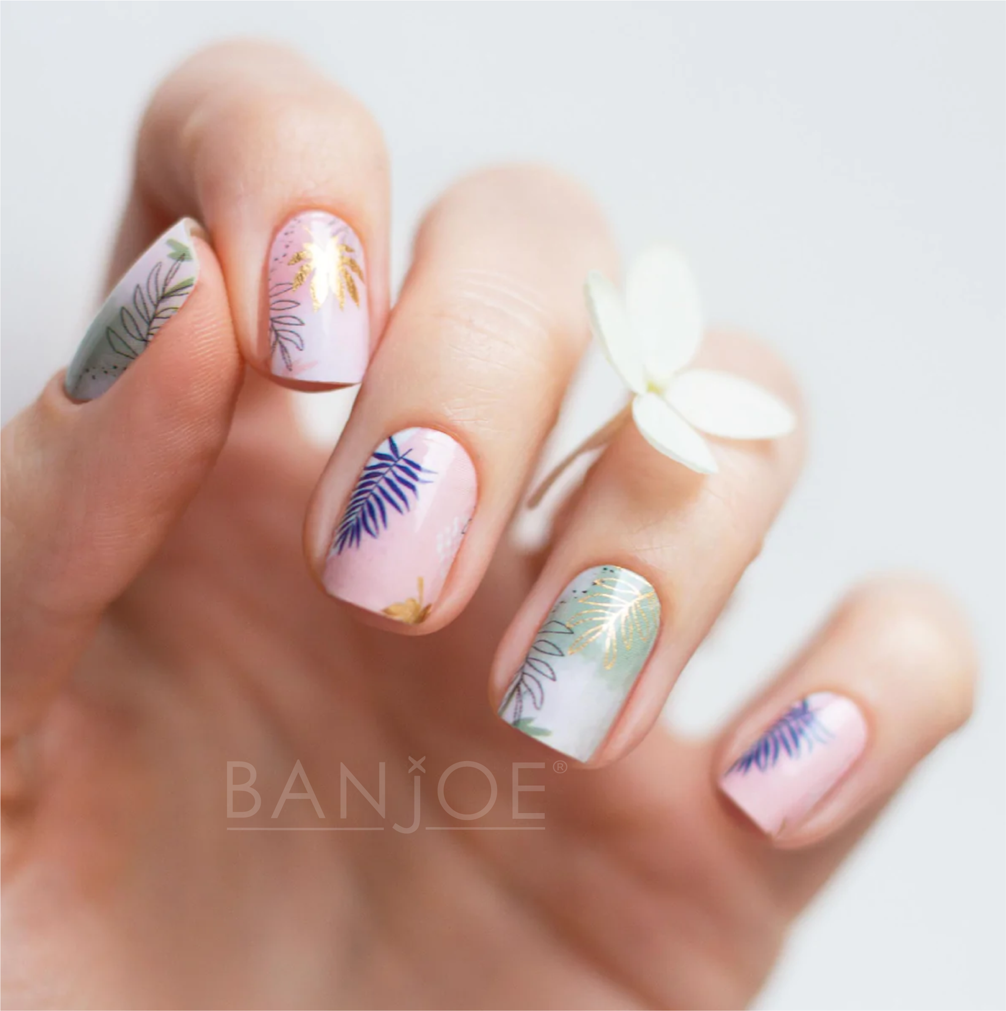 Palmer Caribbean | Stickers de Esmalte